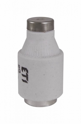 DIII/GG 32A 500V fuse link