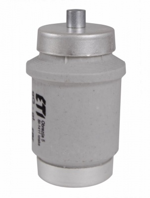 DIV/GG 80A 500V fuse link