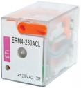 ERM2-024ACL 24 V AC, 2 x CO (12A, AC1)