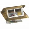 Pop-up box to be equipped - 4 modules - brushed brass