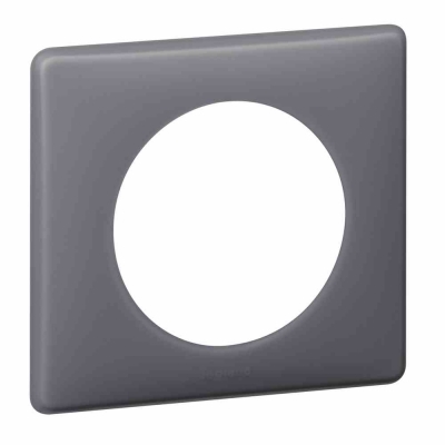 1 GANG PLATE SCHISTE