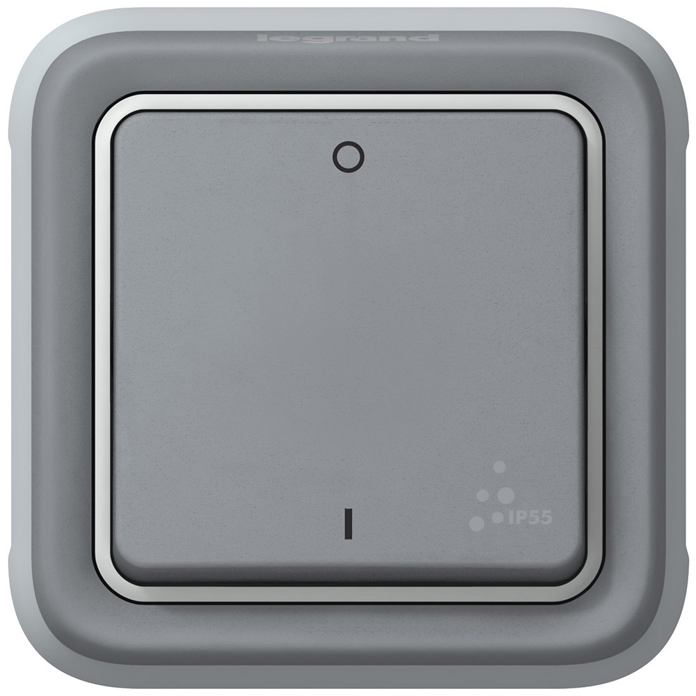 Двухполюсный выключатель - Программа Plexo - серый - 10 AX