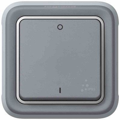 Double pole switch Plexo IP 55 - 10 AX - 250 V~ - modular - grey