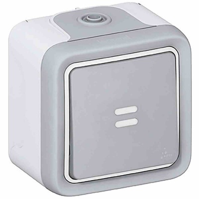 Switch Plexo IP 55 - 2-way + indicator - 10 AX - 250 V~ - surface mounting -grey