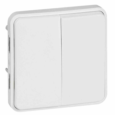 Switch Plexo IP 55 antibacterial-2 gang 2-way-10 AX-250 V~-modular-Artic white