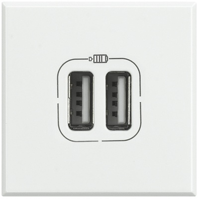 Axolute white Socket USB 2 modules Type C