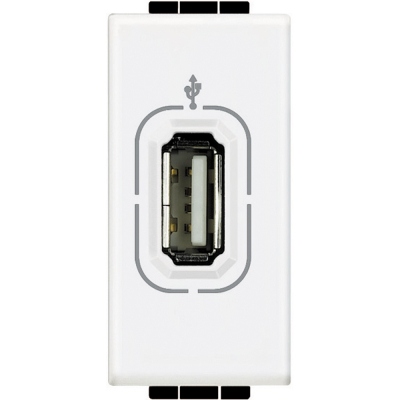 Bticino Living Light white Socket USB  for data transmition