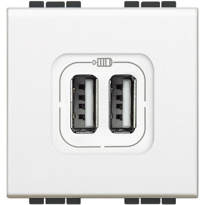 Bticino Living Light белый Розетка USB 2 модуля