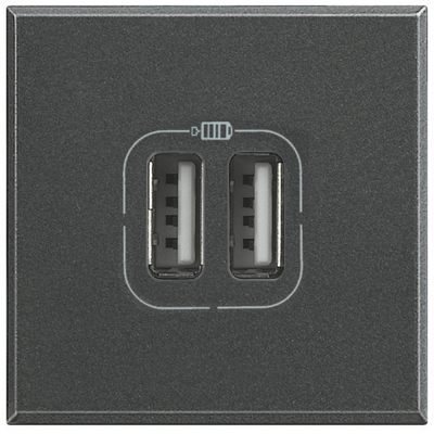 Axolute anthracite Socket USB 2 modules Type C