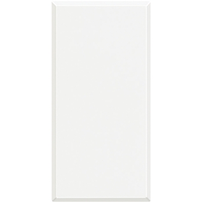 Axolute white Blanking plate 1 module