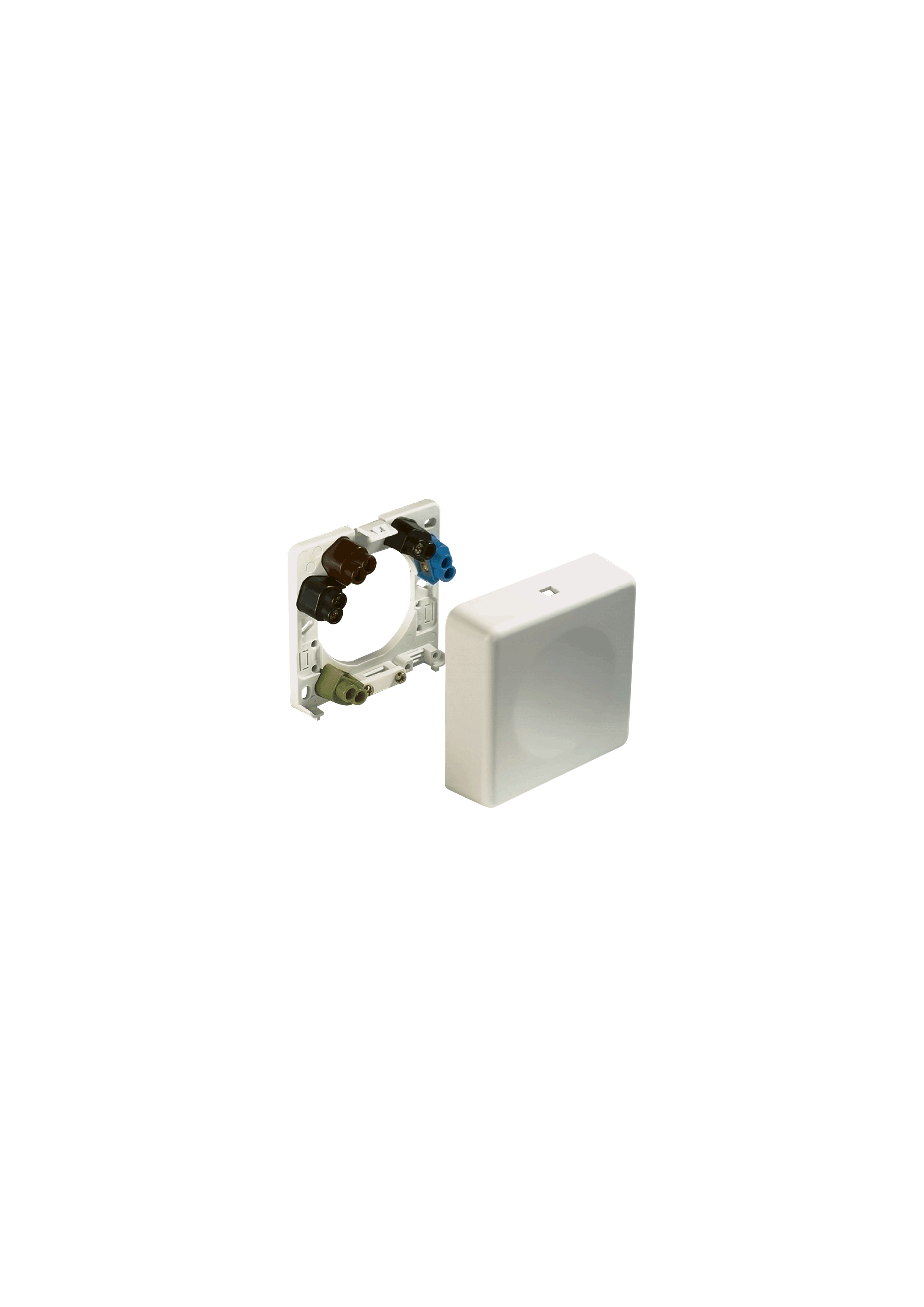 Dedicated socket, flush/surface mounted, white