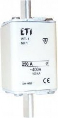 WT-1/gF 100A Fuse link