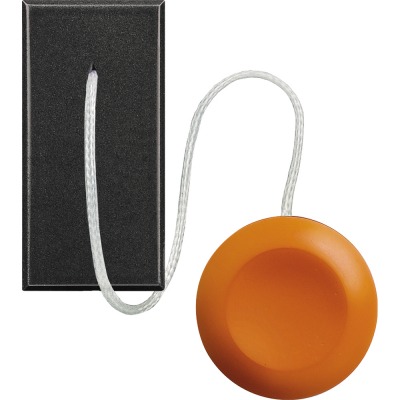 Axolute антрацит Выключатель с верёвкой