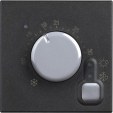 Classia black Терморегулятор