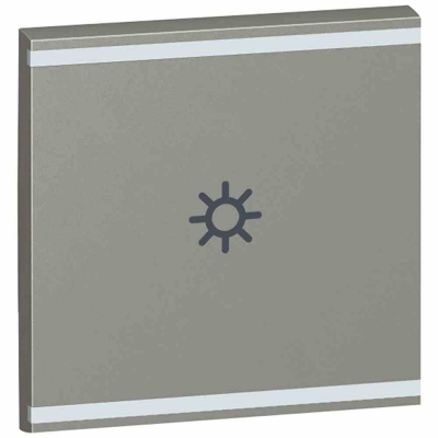 Square key cover Arteor BUS/SCS - light symbol - 2 modules - magnesium