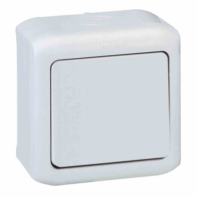One-way switch Forix - surface mounting - 10 AX - 250 V~ - grey