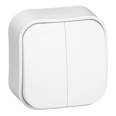 2 gang one-way switch Forix- surface mounting - IP 2X - 10 AX - 250 V~ - white