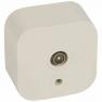 Television socket Forix - surface mounting - IP 2X - male connector - ivory