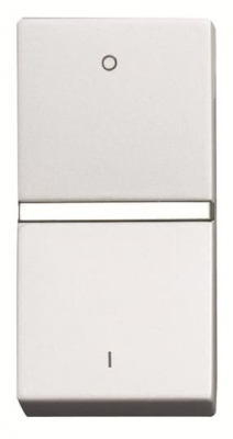 N2101 BL Switch 1W 1M