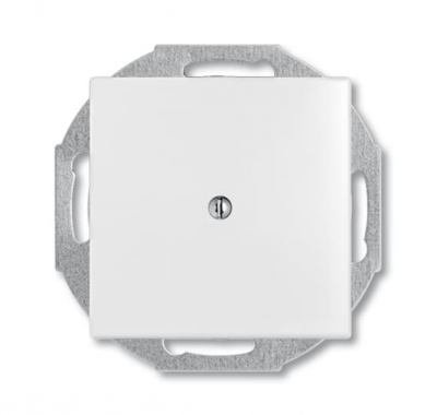 2527-94-507 Cover plate with metal mounting plate