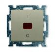 B55 šamp Switch with rocker 1gang DP