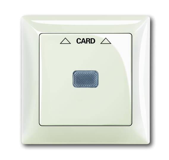 B55 chalet-white Cover plate