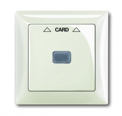 B55 chalet-white Cover plate