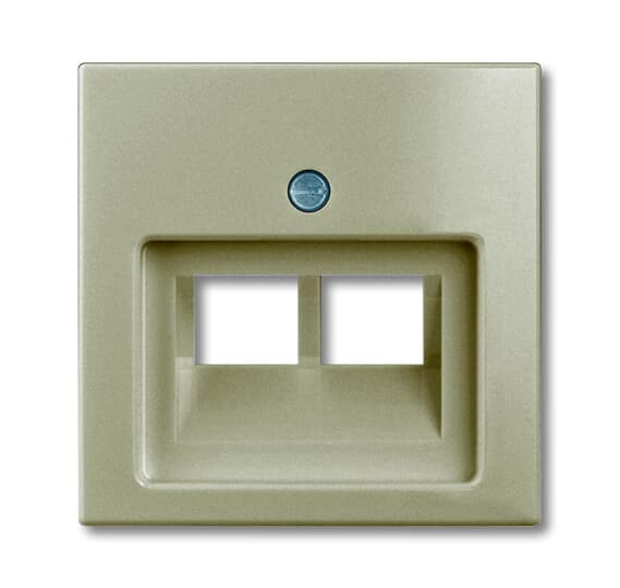 1803-02-93-507 Cover plate 2gang