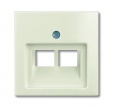 1803-02-96-507 Cover plate 2gang