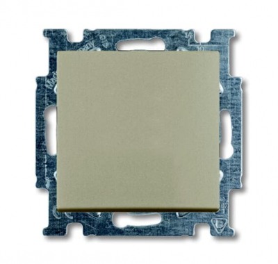 B55 šamp Pārslēdzis 1+1