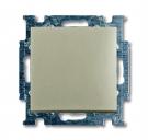 2527-93-507 Cover plate with metal mounting plate