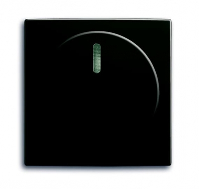 2115-95-507 Cover plate with rotary knob, with indication lamp