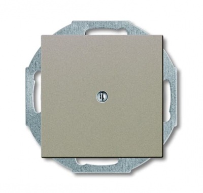 2538-93-507 Blank plate with metal mounting plate