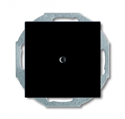 2538-95-507 Blank plate with metal mounting plate