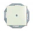 2538-96-507 Blank plate with metal mounting plate