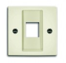 B55 bēšs 2561-92-507 Cover plate with metal mounting plate