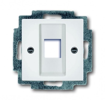 B55 balts 2561-94-507 Cover plate with metal mounting plate