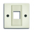 B55 chalet-white 2561-96-507 Cover plate with metal mounting plate