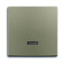 6543-93-507 Control element with neon lamp