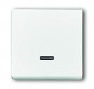 B55 balts Control element with neon lamp