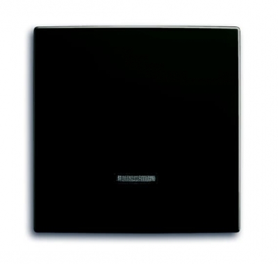 B55 chateau-black Control element with neon lamp