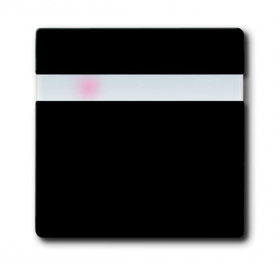 6815-95-507 Busch-Comfort switch control element with neon lamp