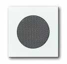 B55 balts 8253-94-507 Cover plate