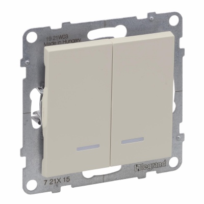 2-GANG ONE-WAY SWITCH ILLUMINATED 10AX AUTOMATIC TERMINALS IVORY