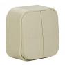 2 gang one-way switch Forix- surface mounting - IP 2X - 10 AX - 250 V~ - ivory