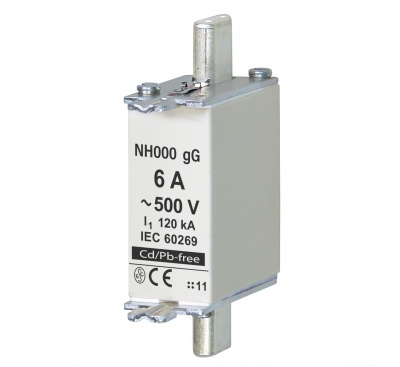 NH000 gG 6A/500V fuse link