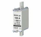 NH000 gG 100A/500V fuse link