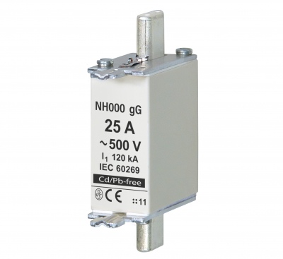 NH000 gG 25A/500V fuse link