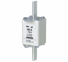 NH1C gG 100A/500V fuse link