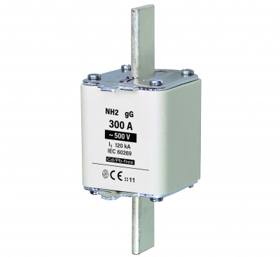NH2 gG 300A/500V fuse link